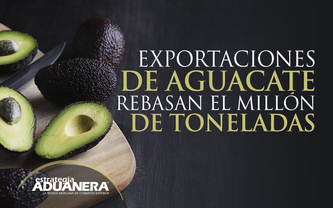 Exportaciones De Aguacate Rebasan El Mill N De Toneladas Estrategia